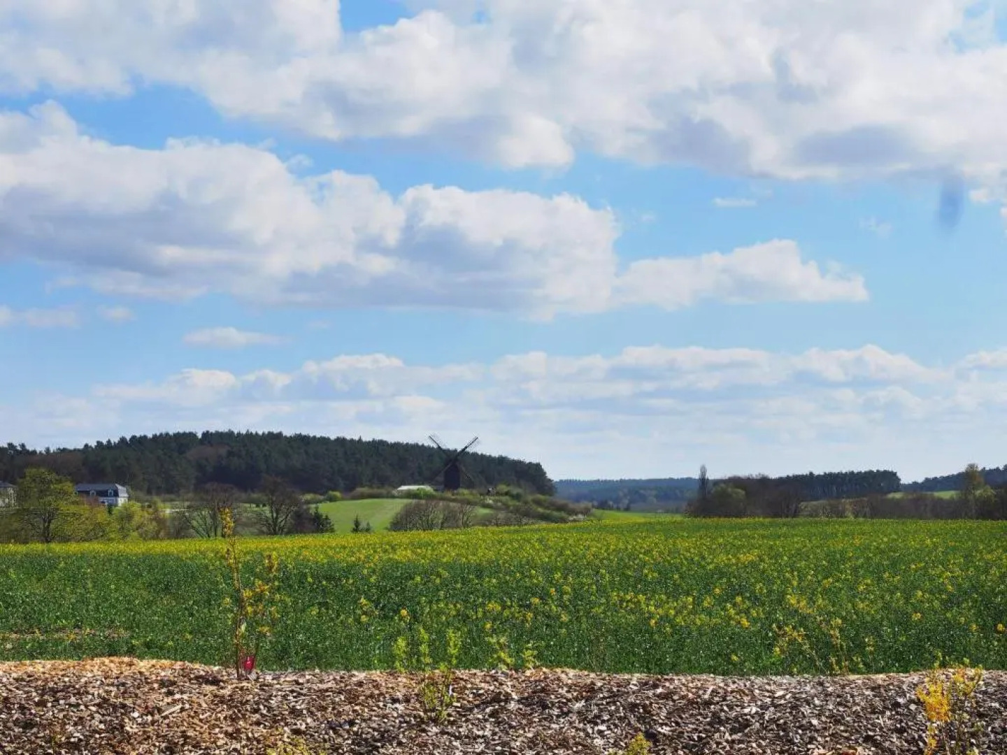 Ferienhaus MÃ¼hlenblick