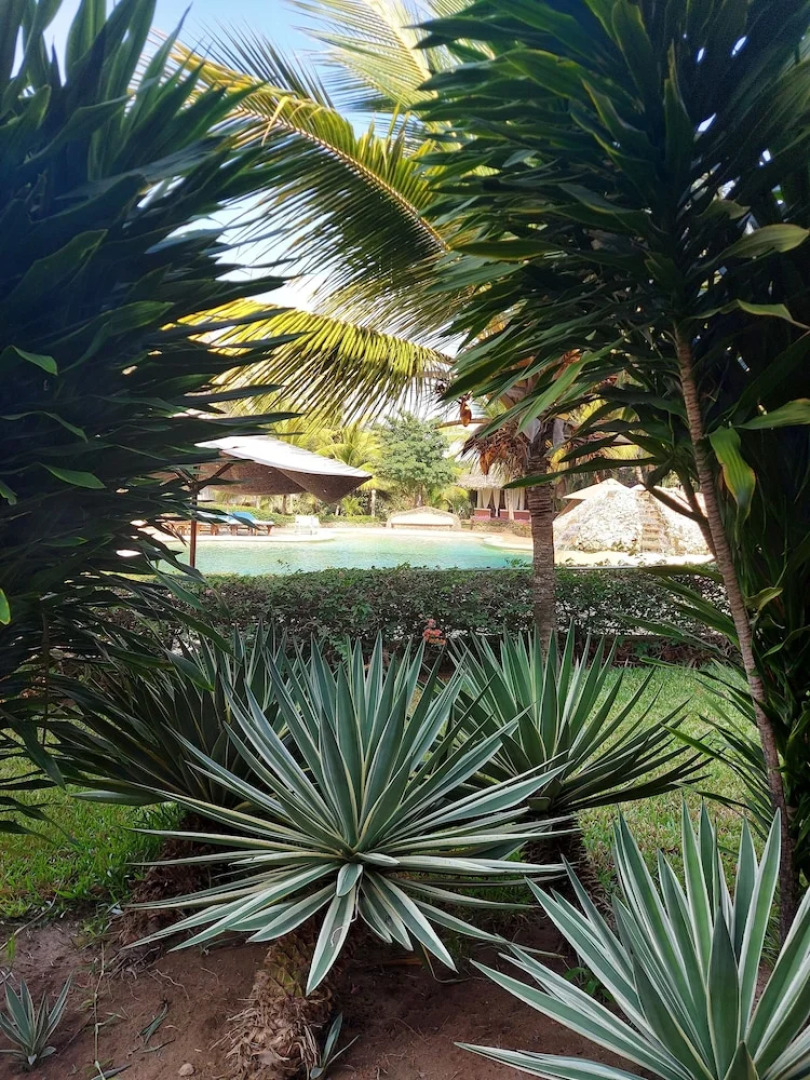 Tembo Court Apartment