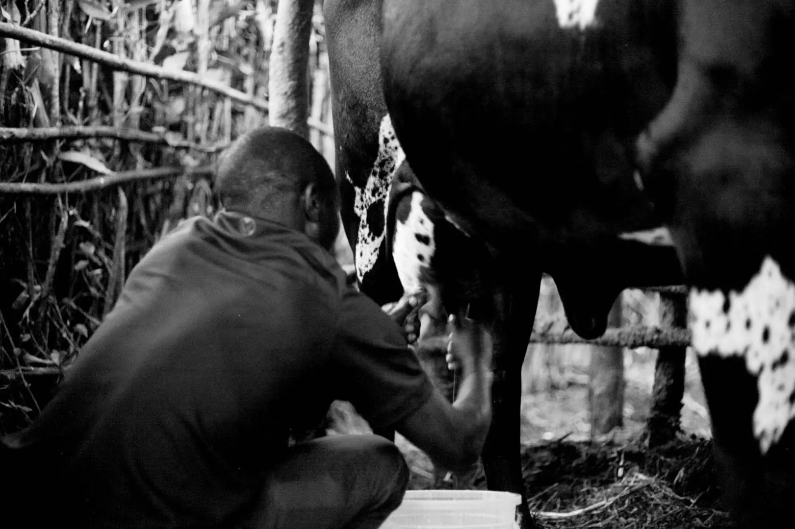 Discover Rwanda Kayonza Eco-Lodge