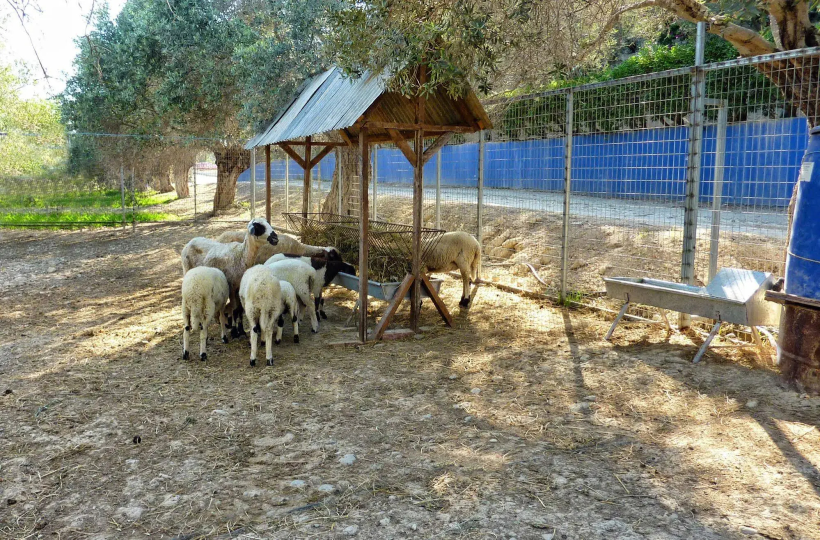 Hadjios Valley