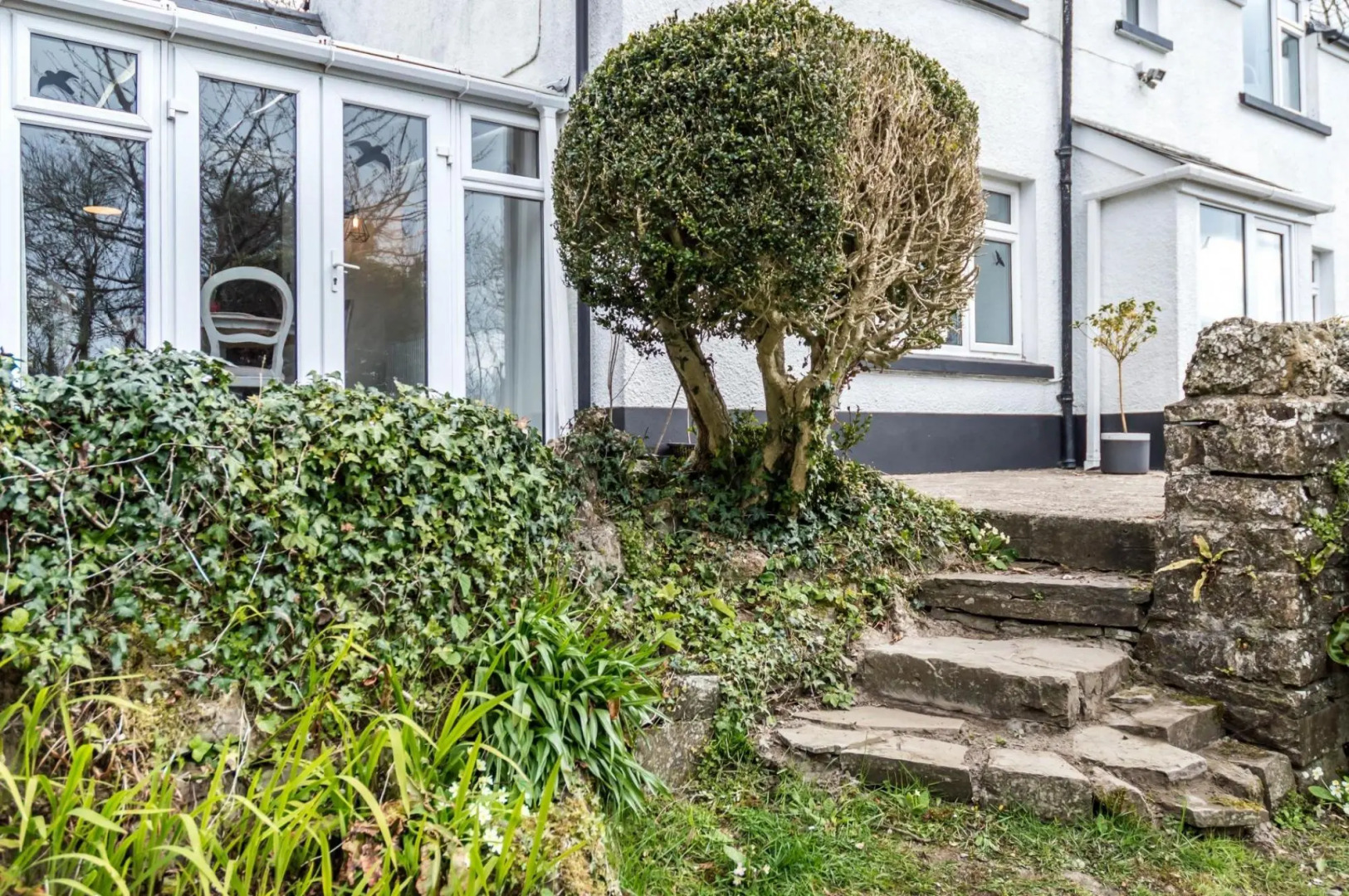 Woodpecker Cottage - Sheepswalk Farm - 2 Bedroom Cottage - Stepaside