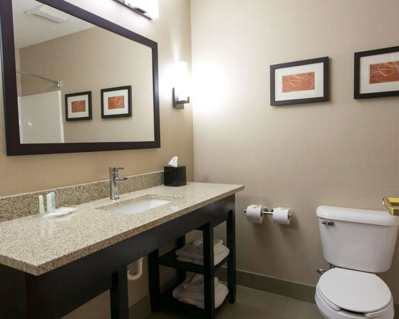 Comfort Suites Benton Harbor - St. Joseph