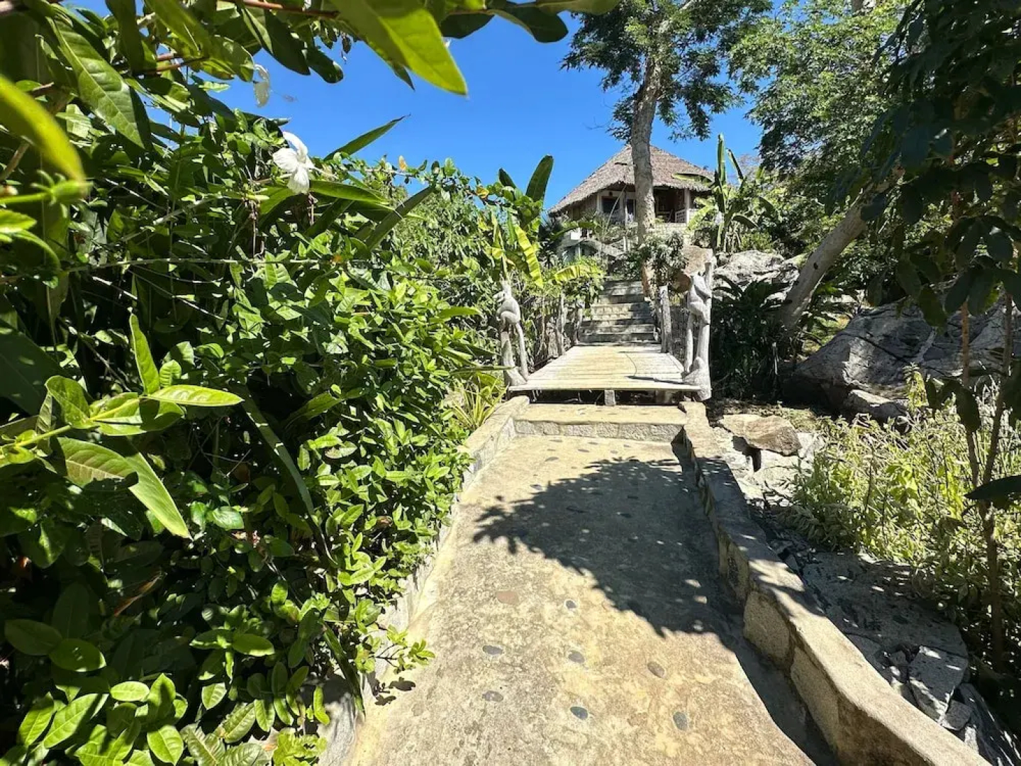 Coconut Lodge