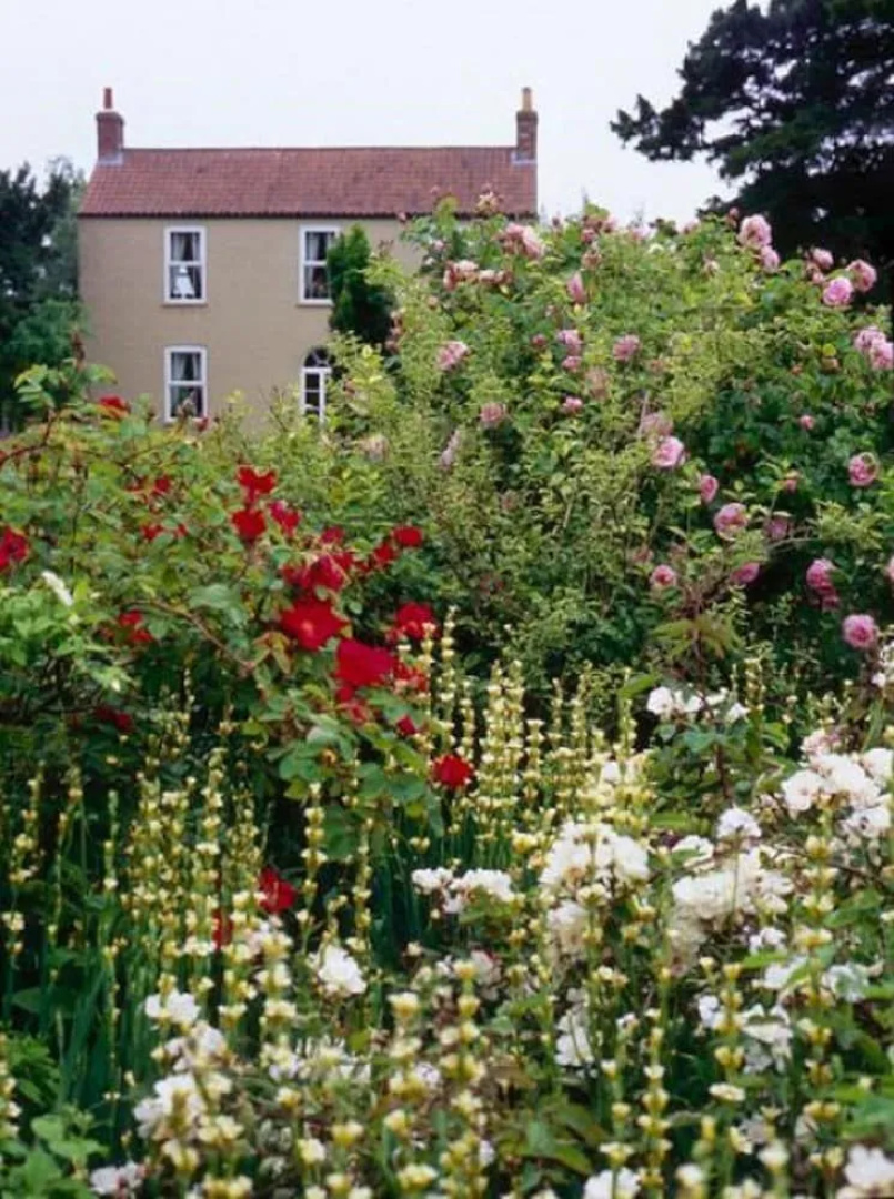 Goltho House Bed & Breakfast