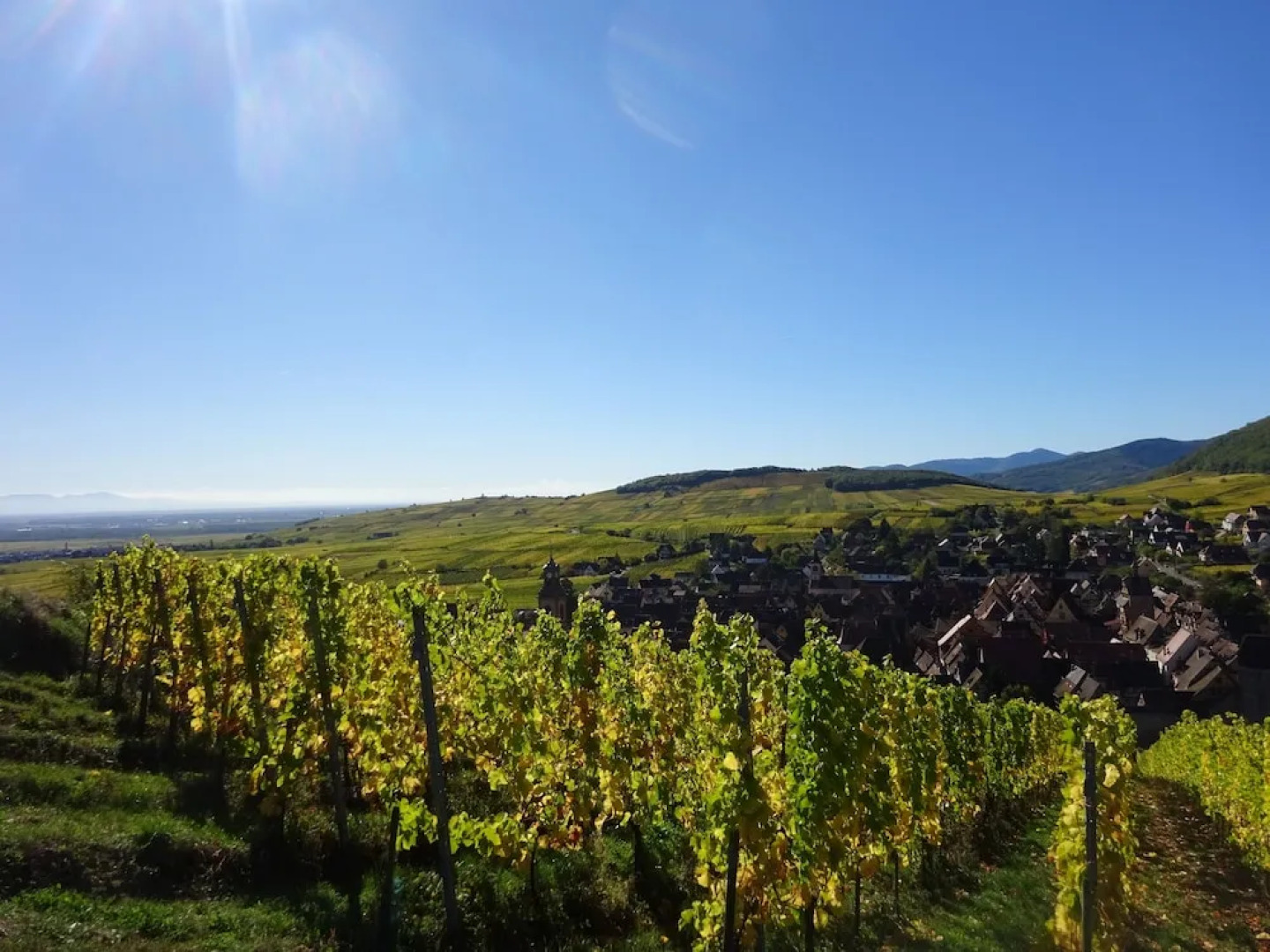 Lune De Miel Tiny House Insolite