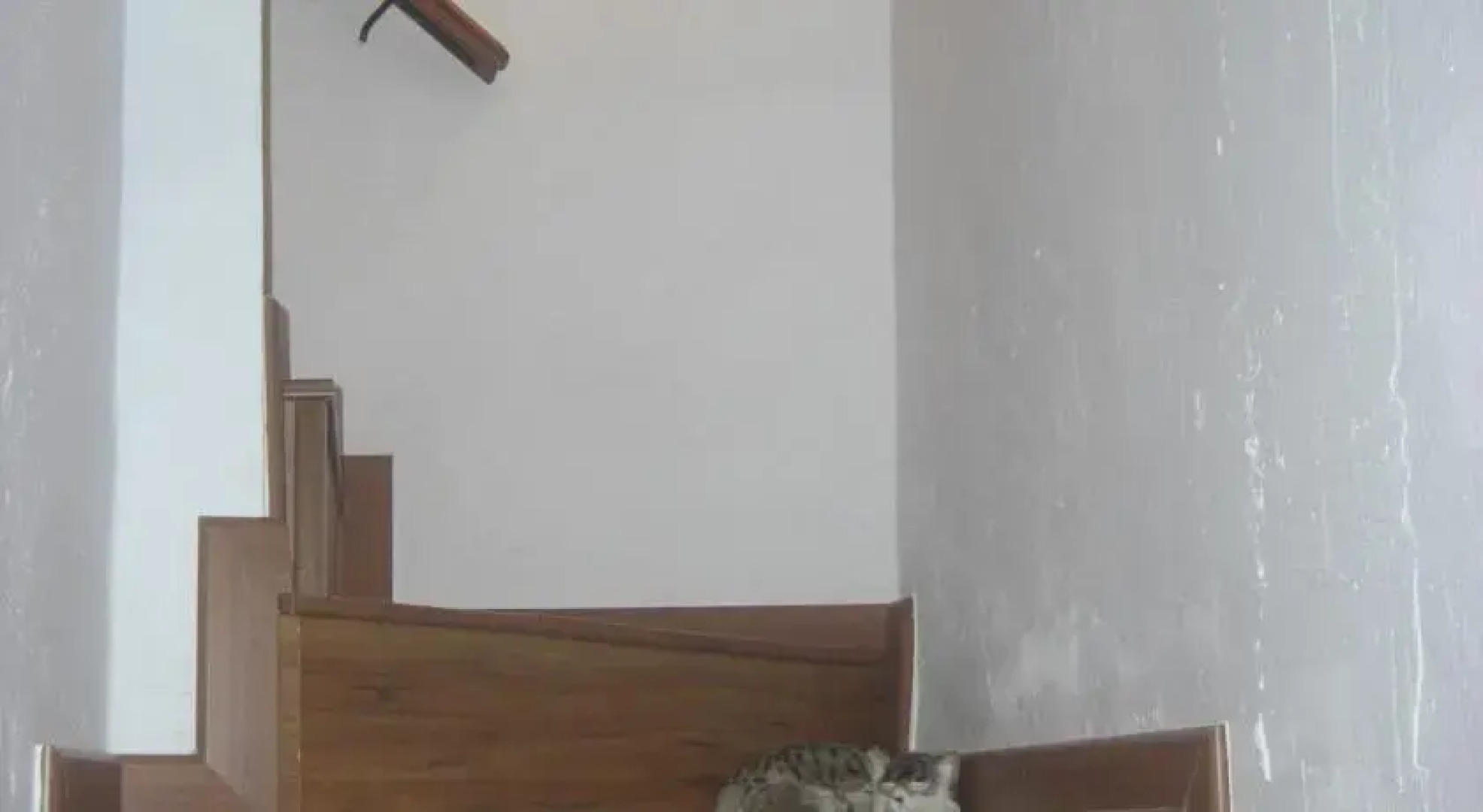 El Tesoro de la Subbética