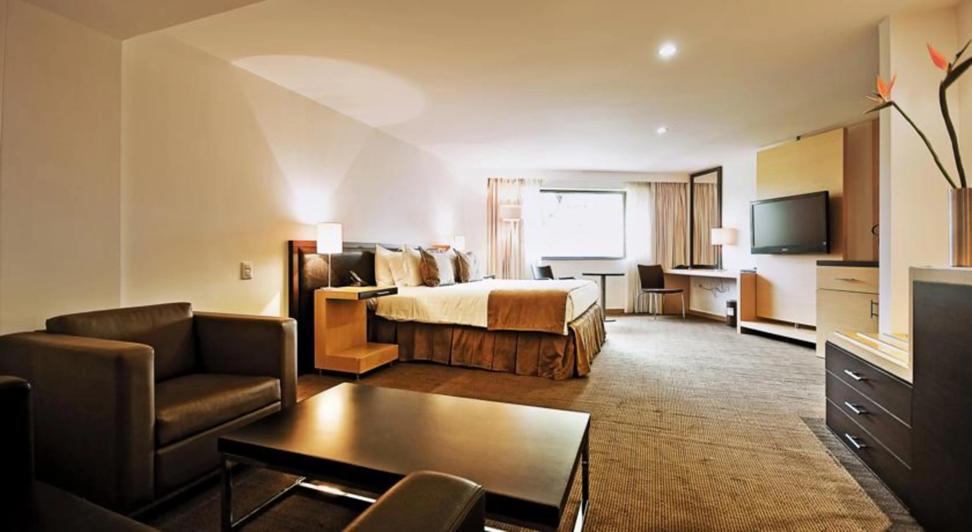 Movich Hotel Las Lomas