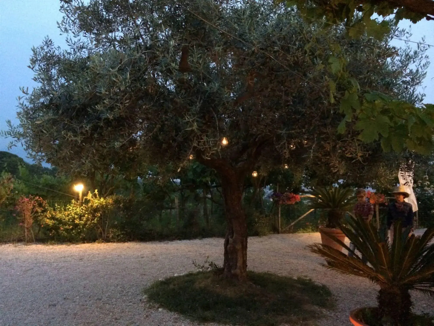 Tenuta Le Fornacelle