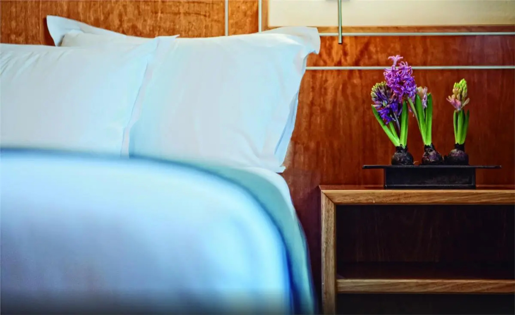 Best Western Plus Hotel Alfa Aeropuerto