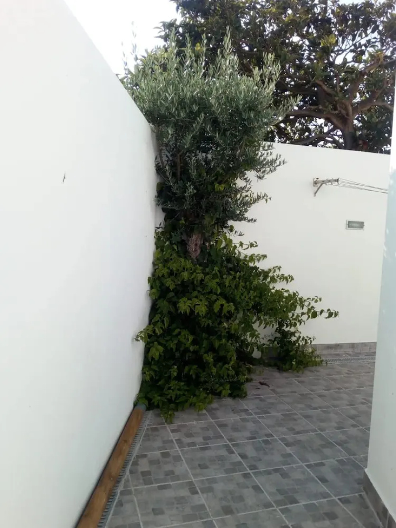 House With 2 Bedrooms in Vila Nova de Santo André, With Enclosed Garde