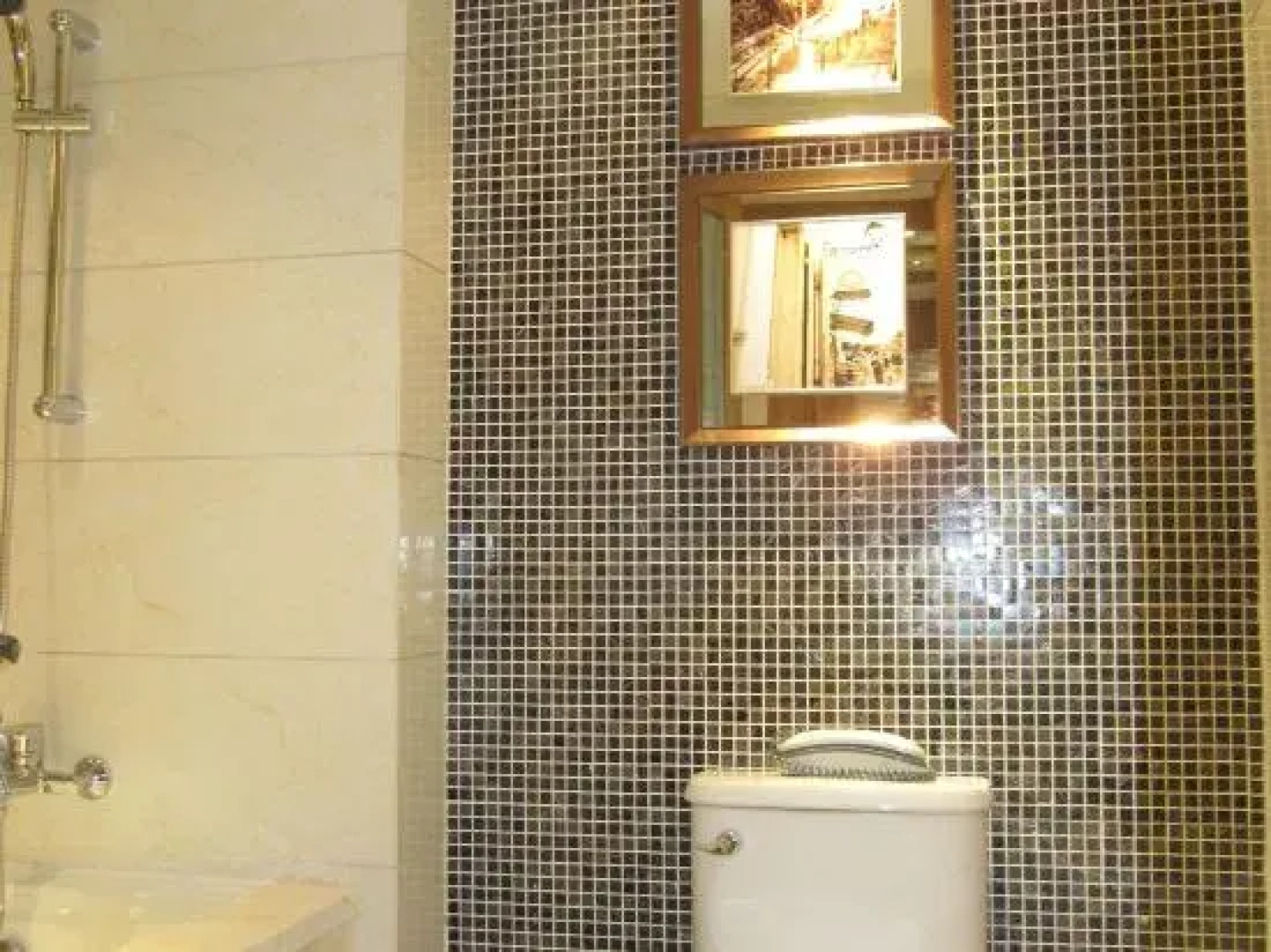 Changbaishan Baixi Holiday Hotel