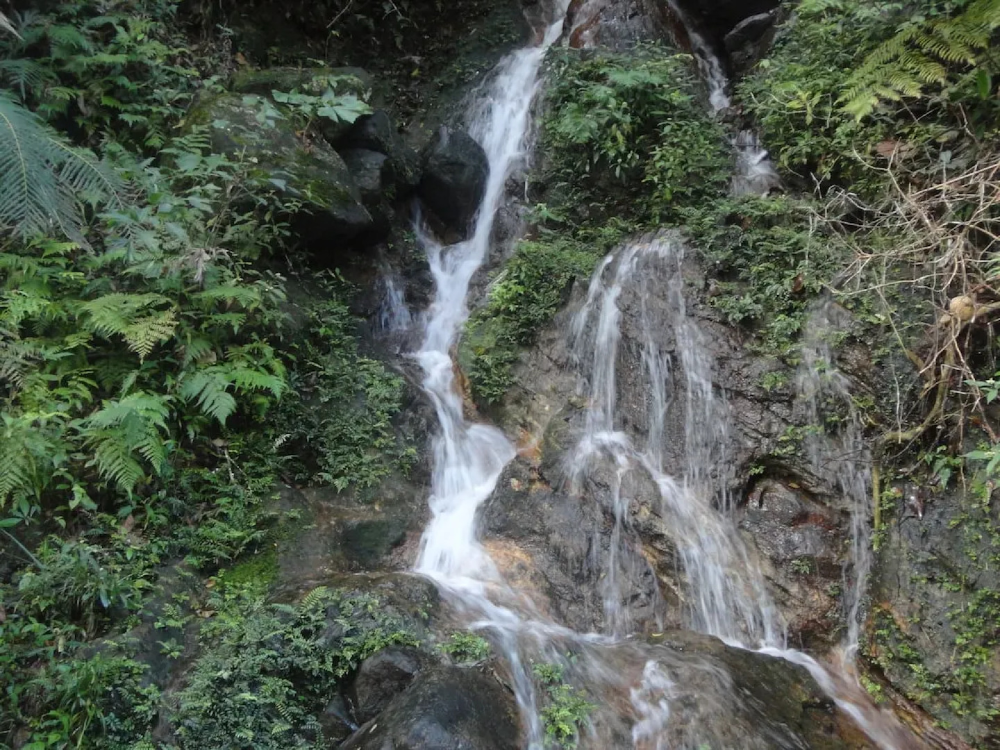 Explorer by Eco team - Sinharaja