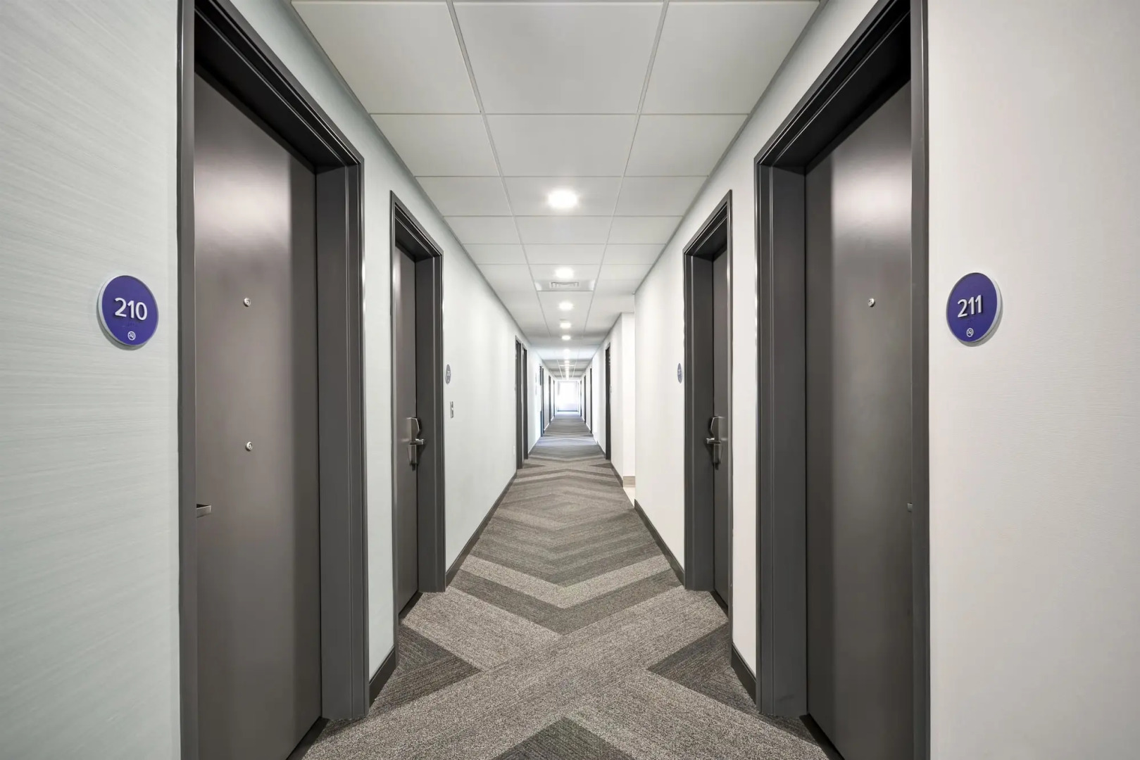 Tru by Hilton Sumter