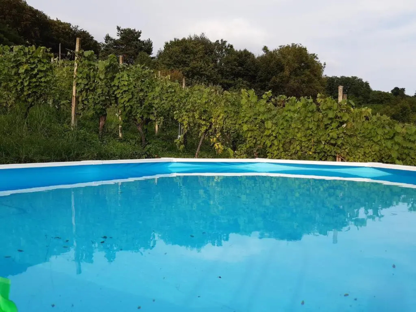 Awesome Apartment in Grabrovnik With Sauna, Wifi and Outdoor Swimming Pool
