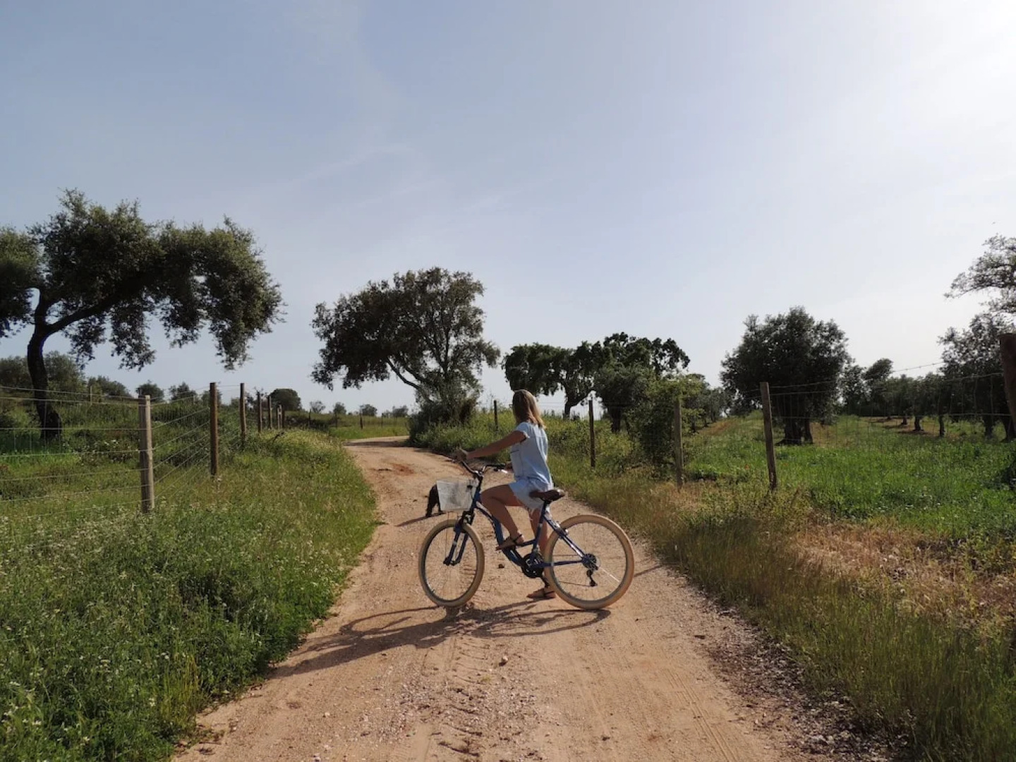Herdade da Maridona em Estremoz