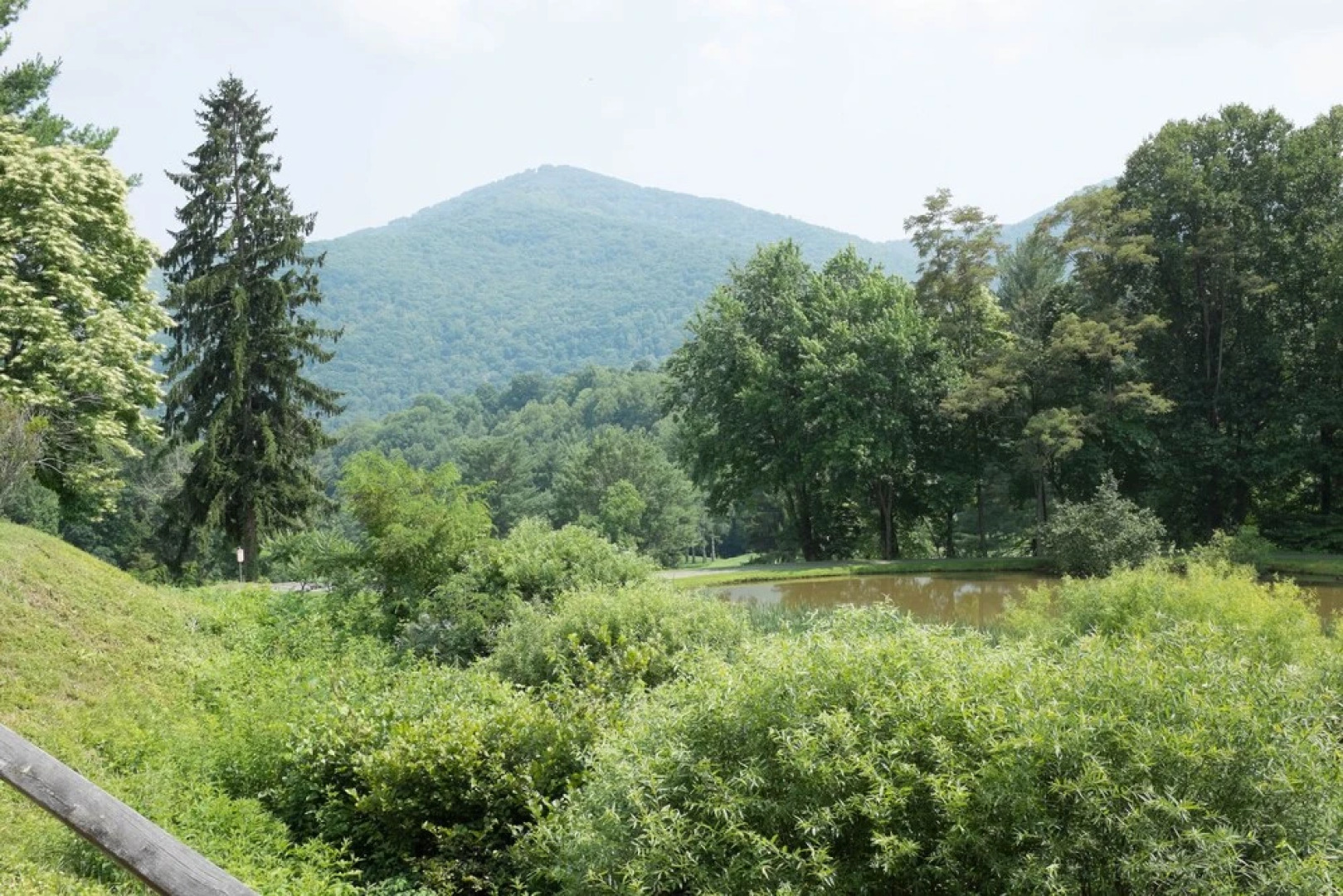 Peppertree Maggie Valley