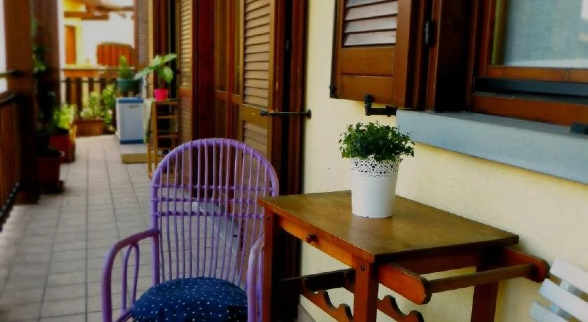 Komodo B&B
