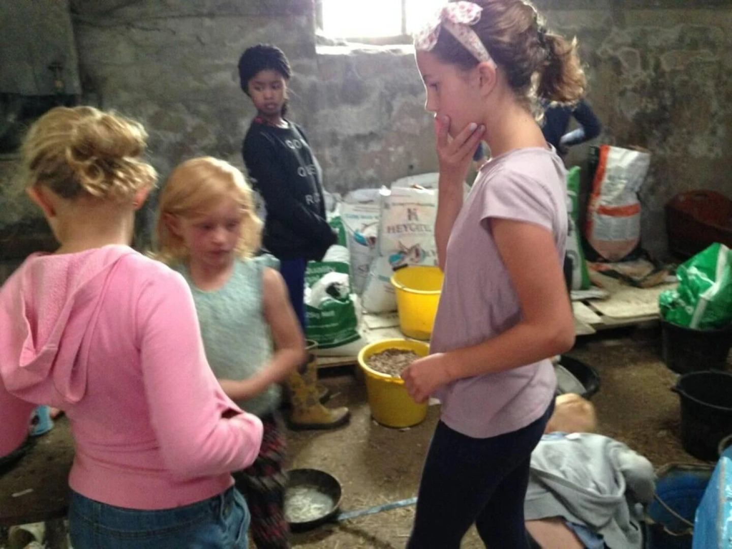 The Mill House at Cwmiar Farm - Relaxing Holidays