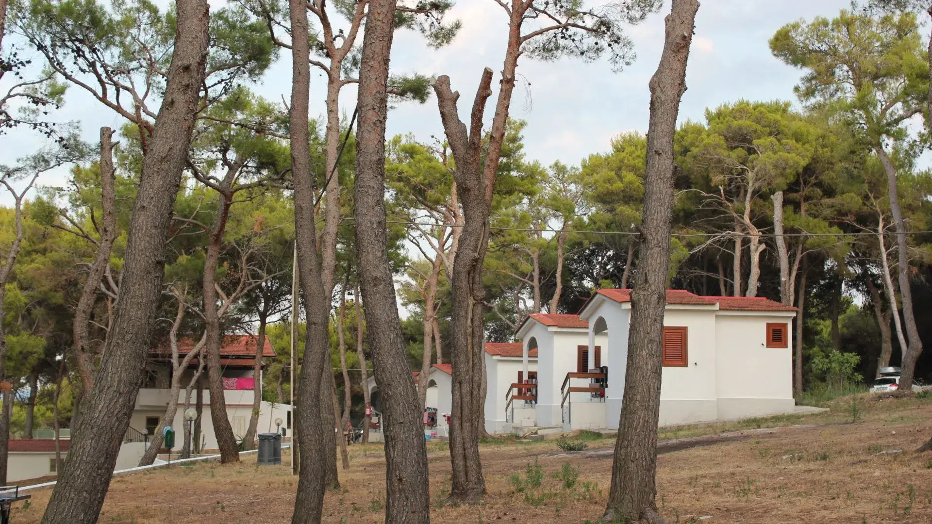 Sfinal Residence