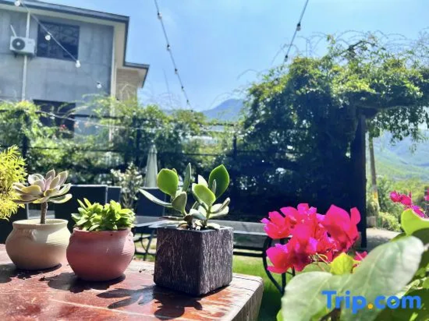 Moganshan Yufei Chinese Inn (Xiantan Village Scenic Area)