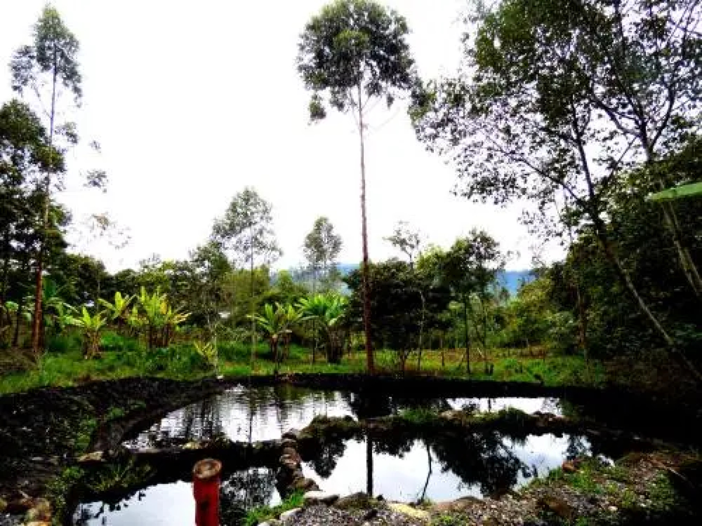 Shipasbamba Ecolodge