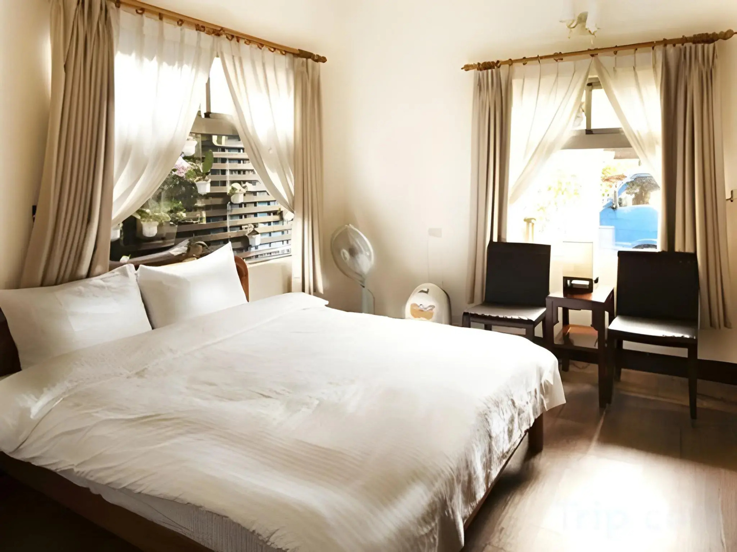 Taiwan Reishi Expert Bed and Breakfast