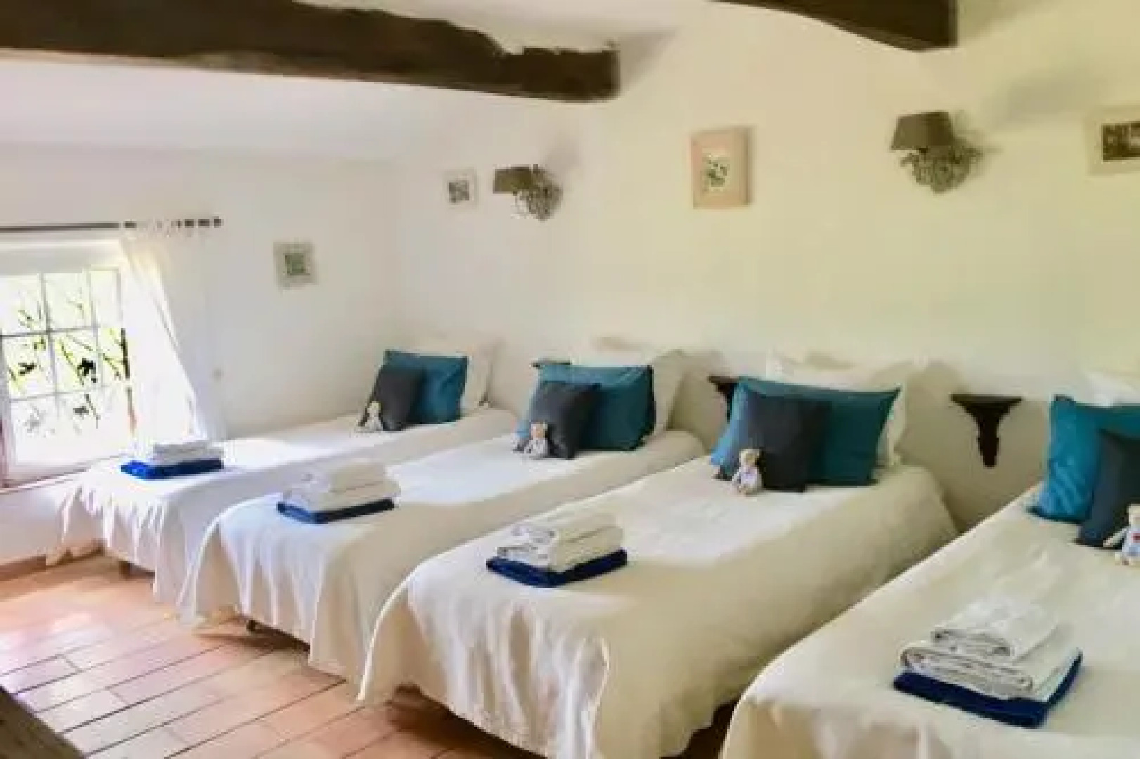 Mas Le Chene - Ovo Network