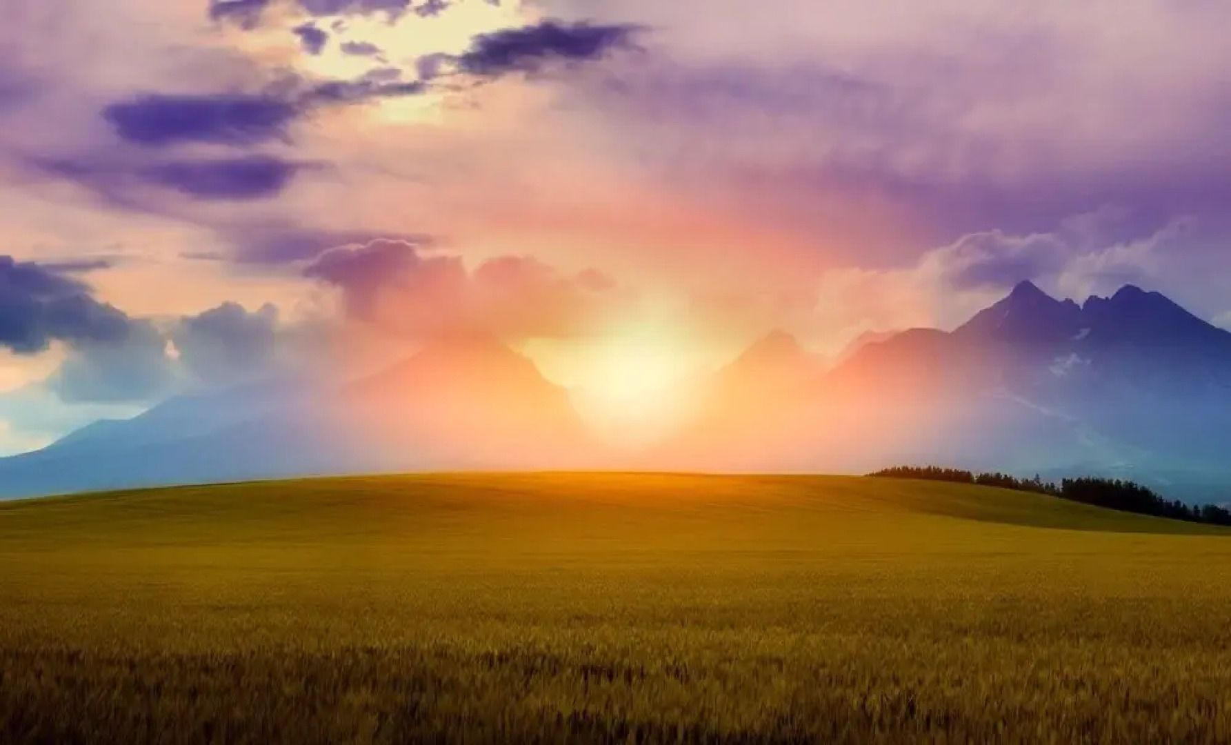 Sloneczny Dworek Guest House