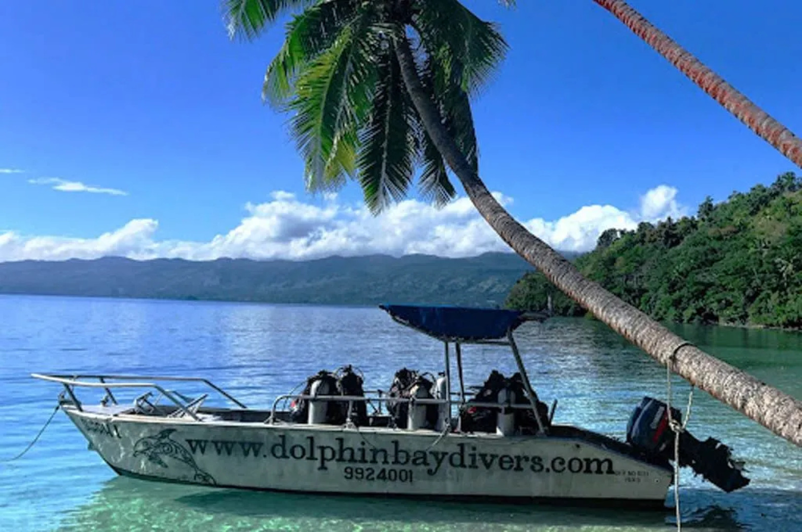 Dolphin Bay Divers Retreat