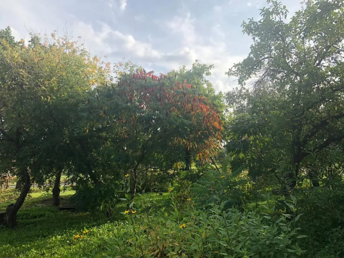 Skrunda Apartments Elandrum