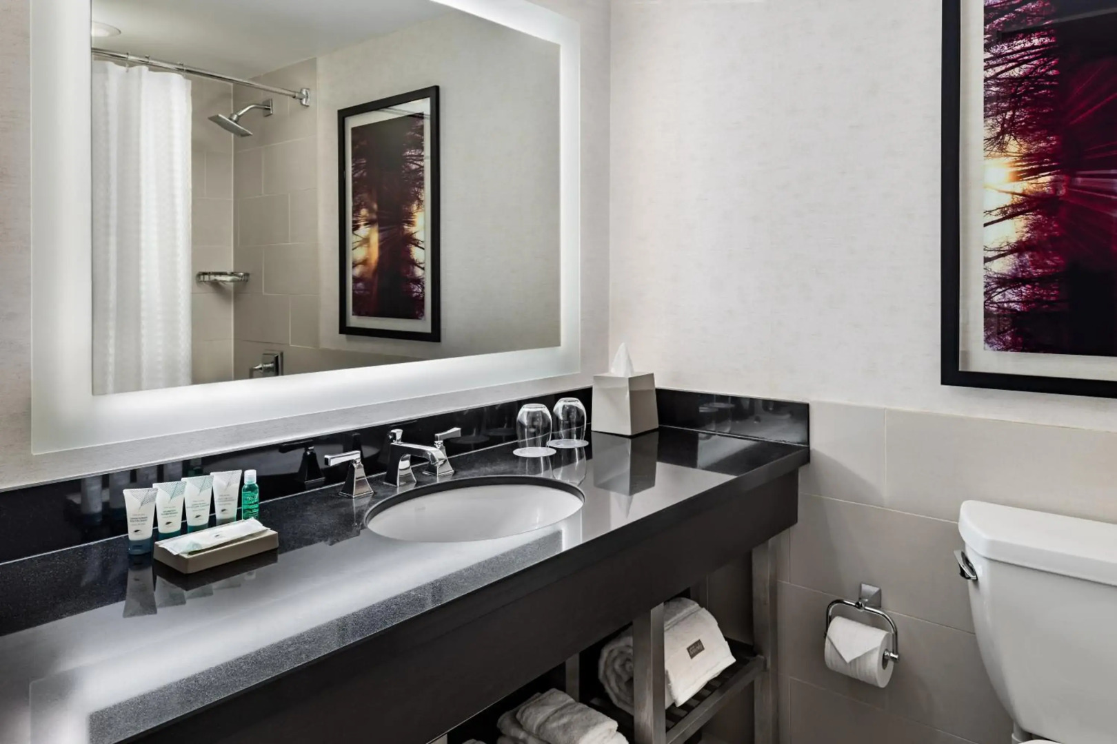 The Westin Harbour Castle, Toronto