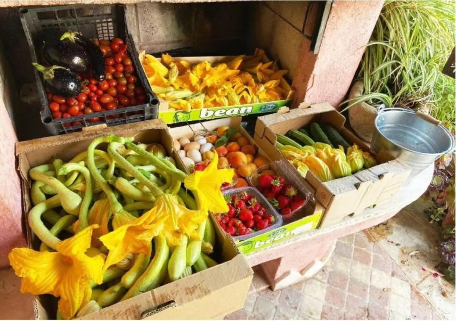 Ascheri Country House - Grimaldi, Ventimiglia