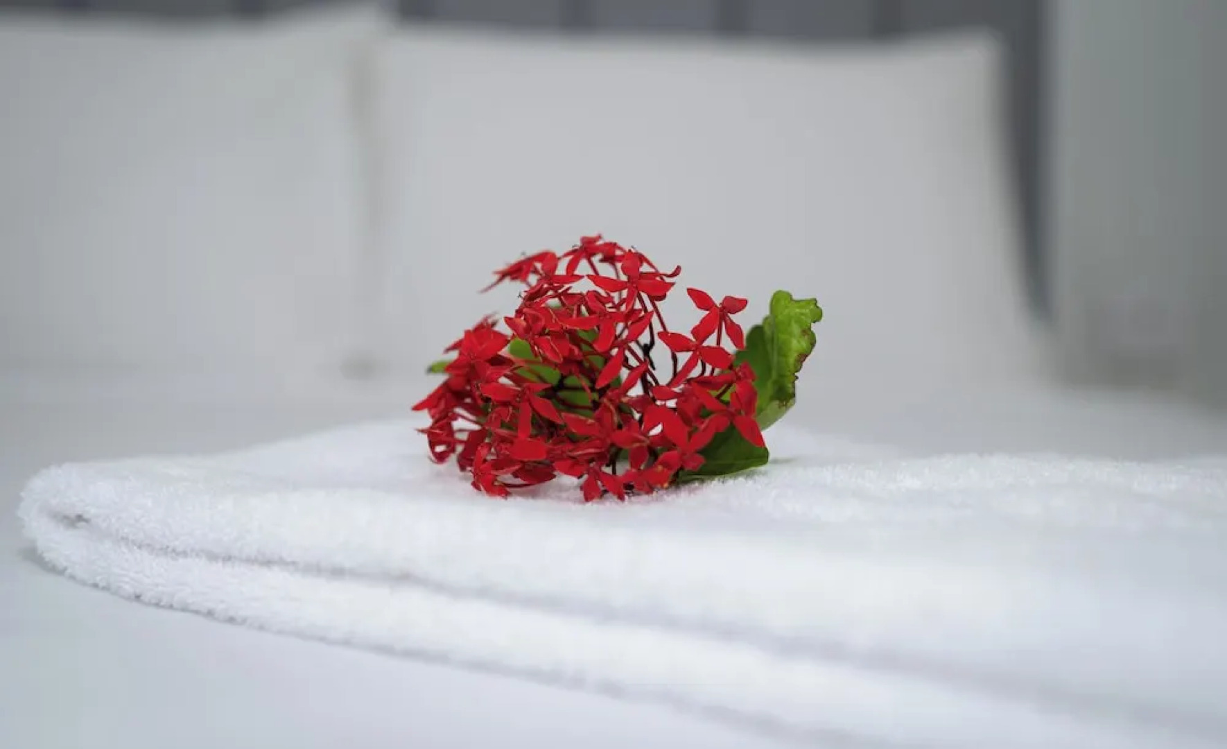 Adventurers Resort - Hostel