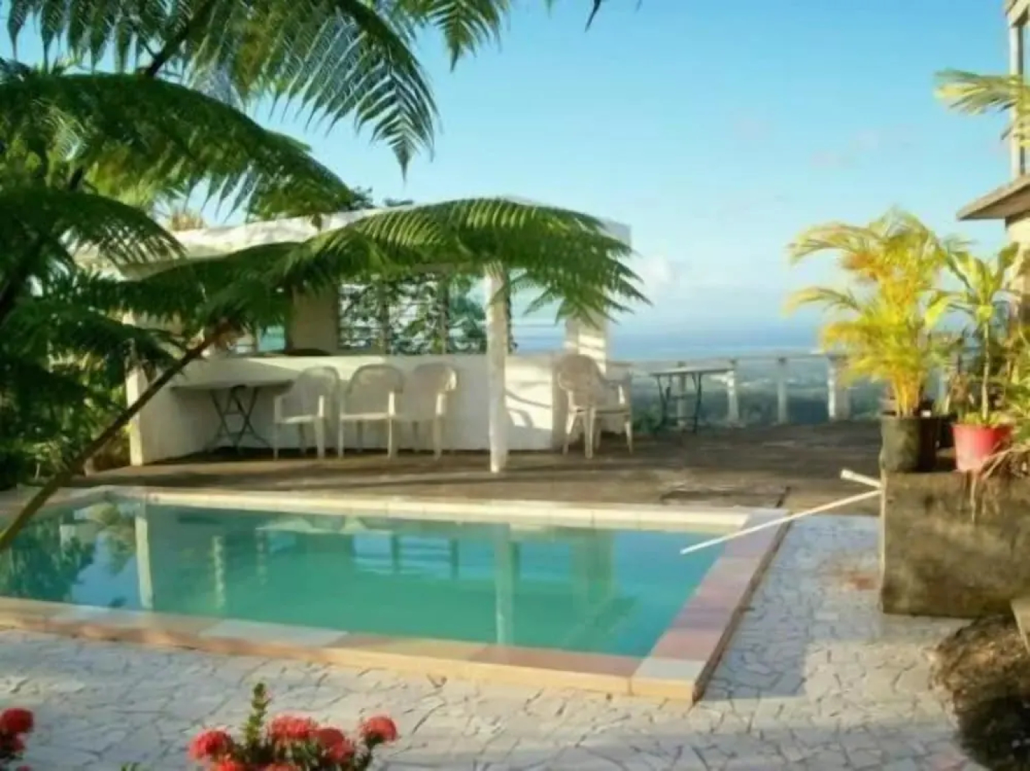 Dave Parker's Eco Lodge