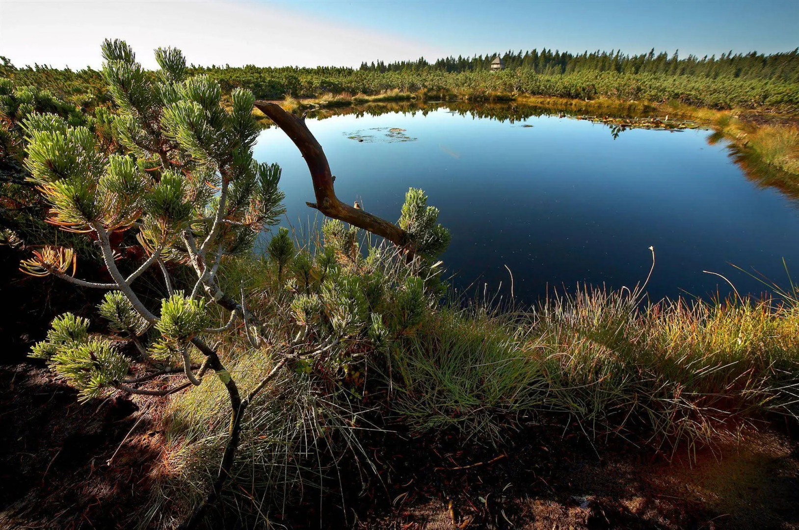 Hotel Planja - Rogla