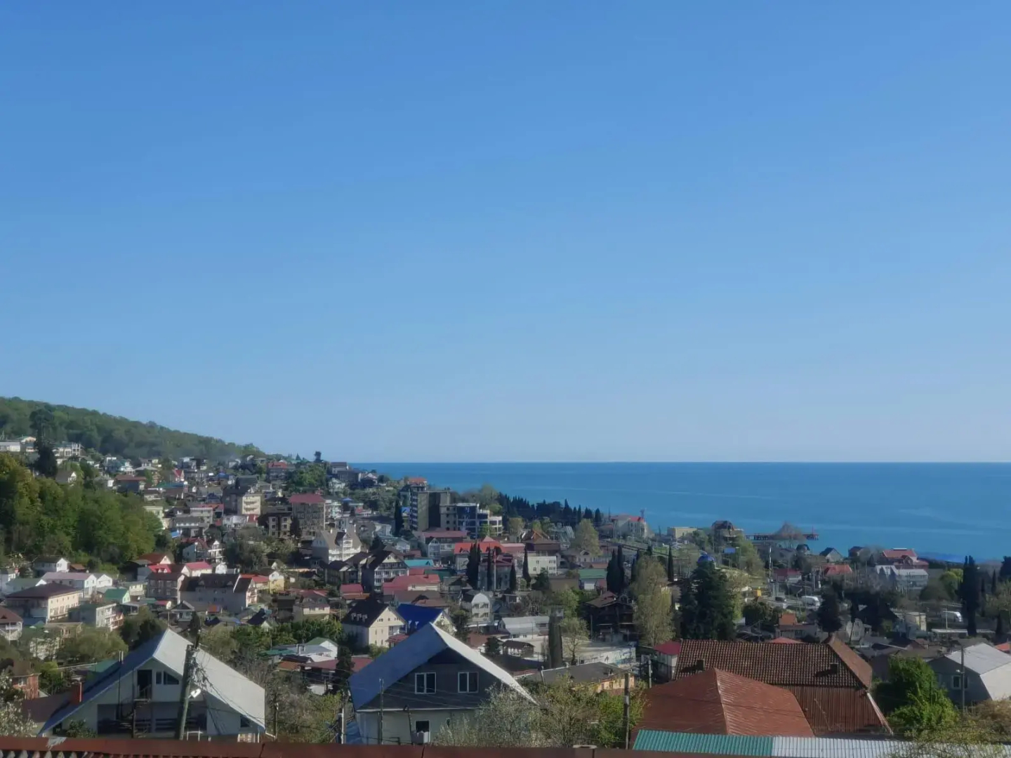 Sova (Сова)