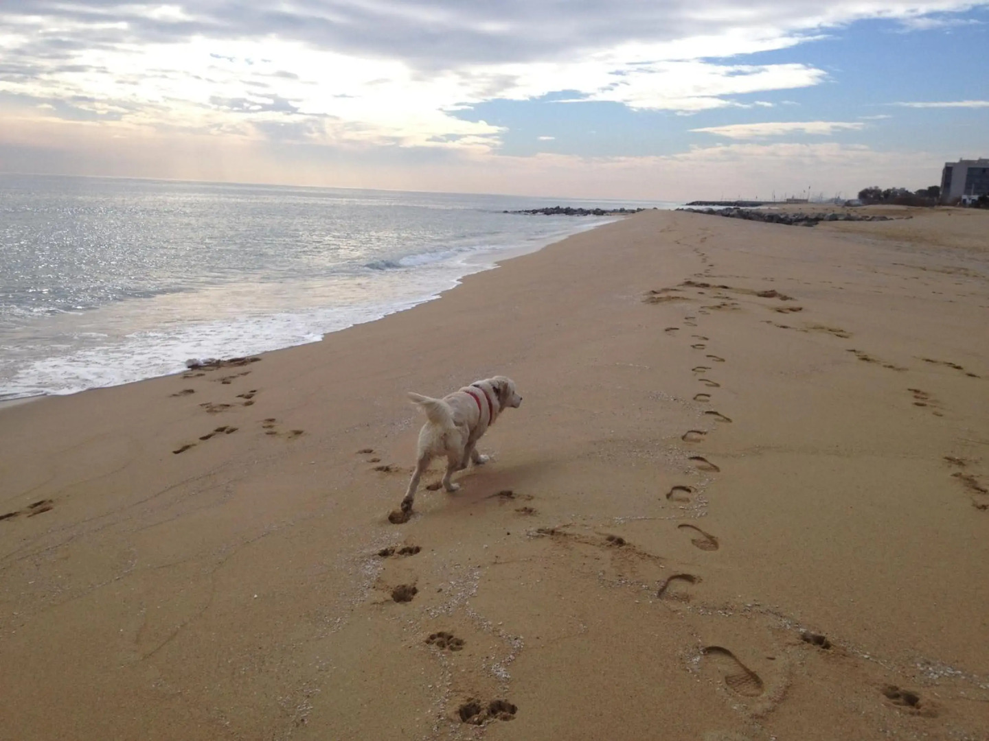 Residential Tourist Apartments