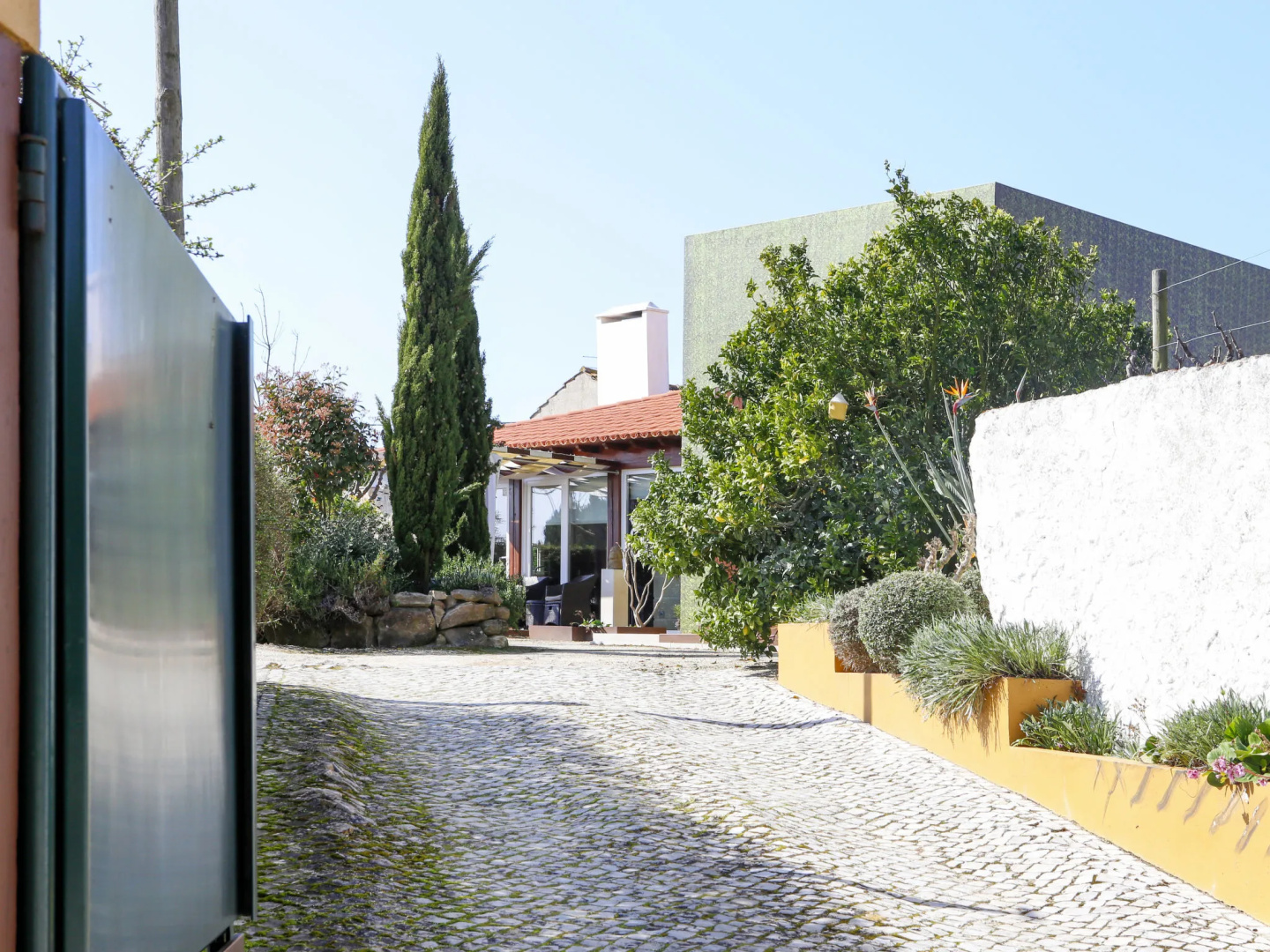 Conceição (NZE221)