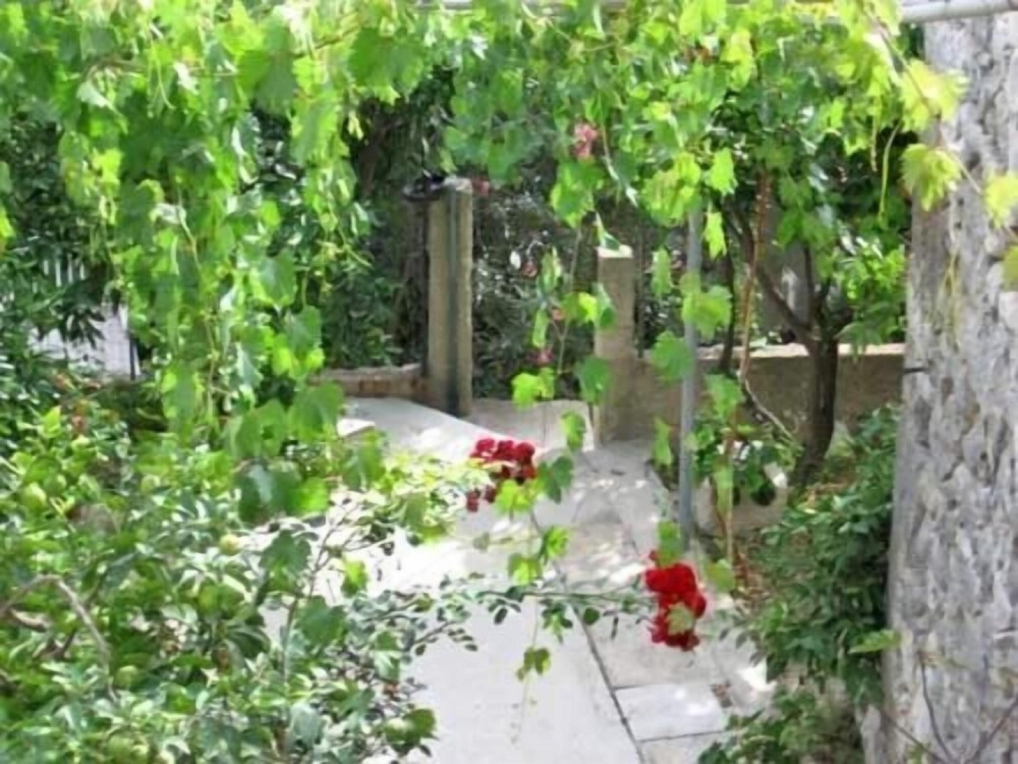 Antun Mozara Family House