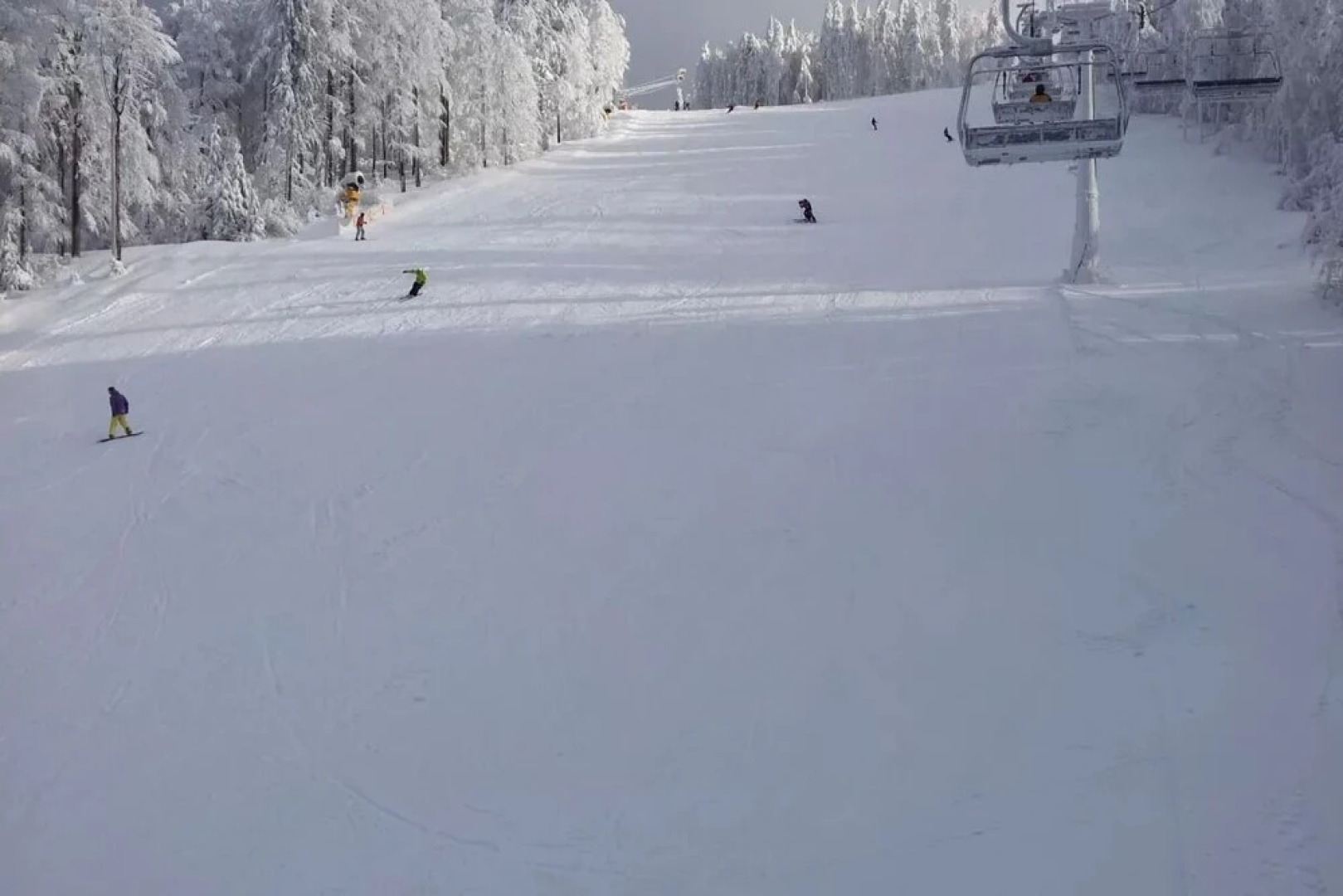 Biobauernhof Gollner