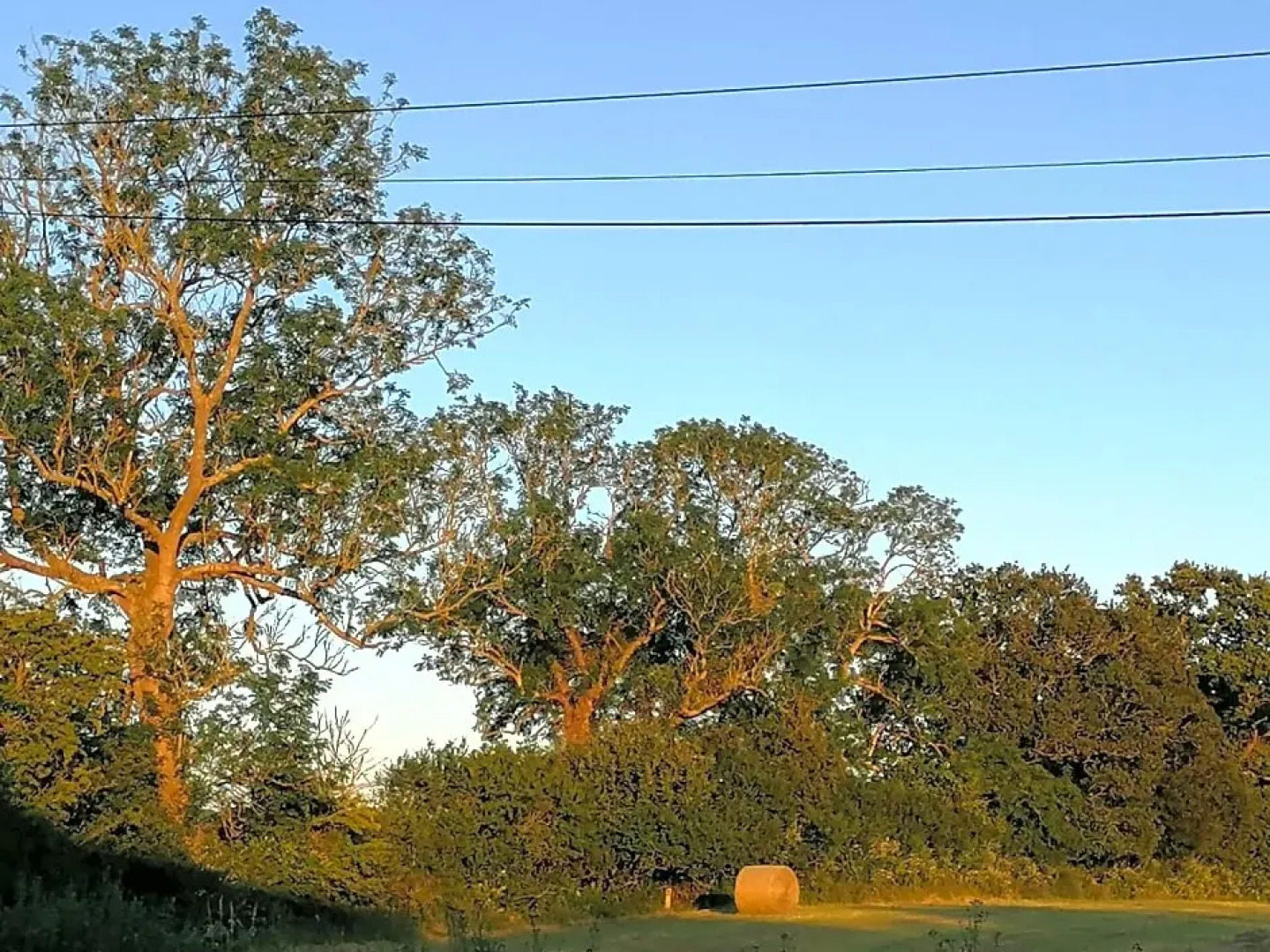 Chambres D'Hotes Les Hirondelles Bleues