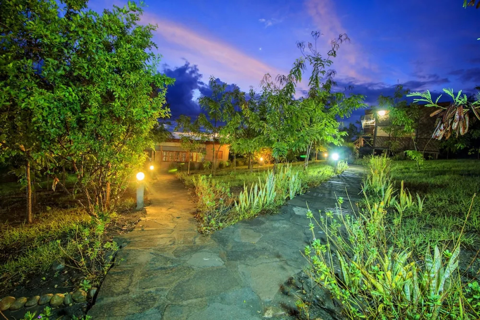 Wildtracks Overland Camp