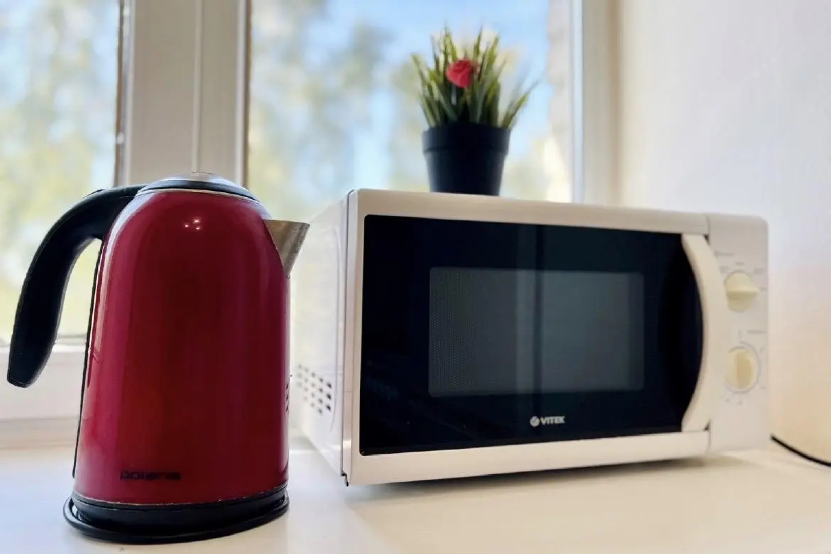 Диван и Чемодан на пр-кте Красный, 94