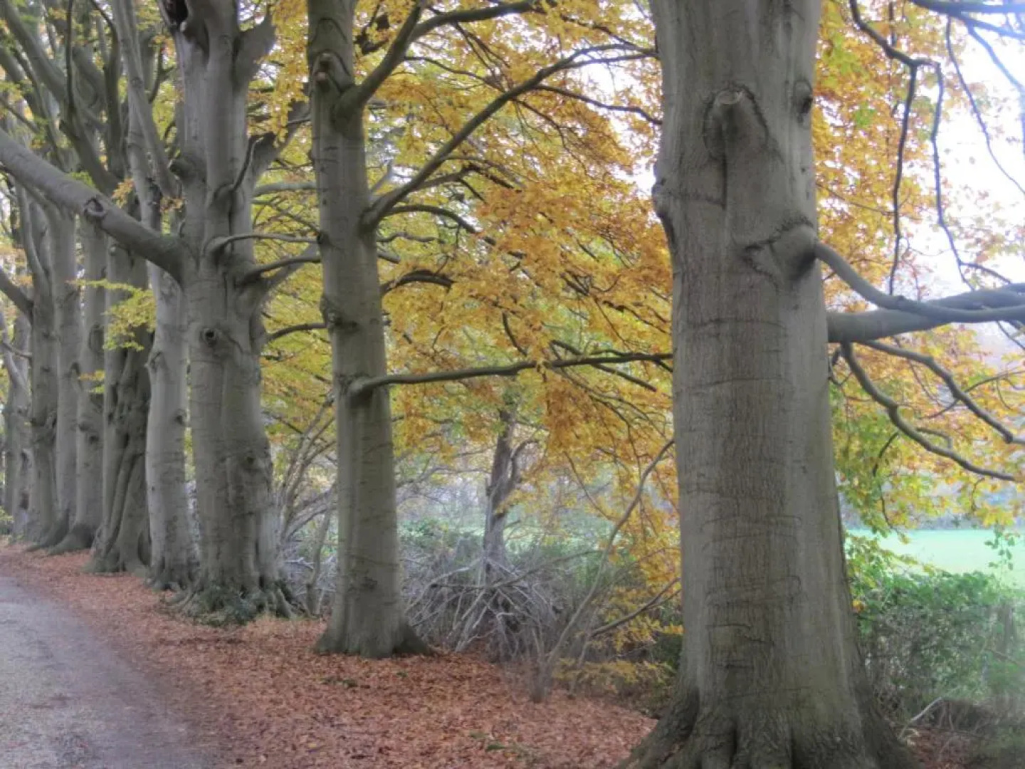 Het Findament Tiny house