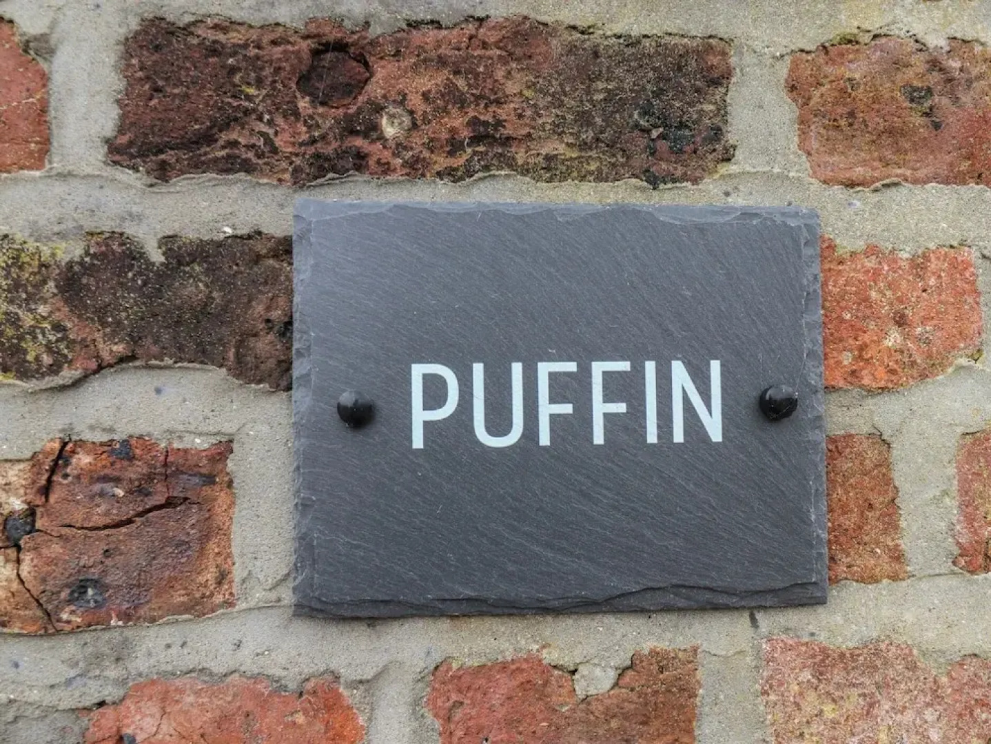 Puffin