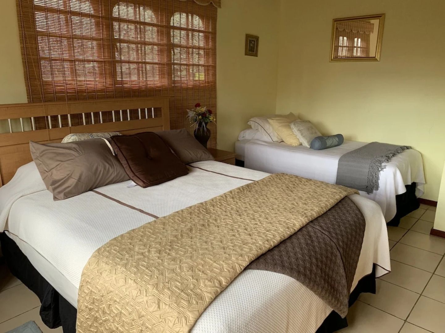 A Beautiful Aruba Salina Cerca Villa