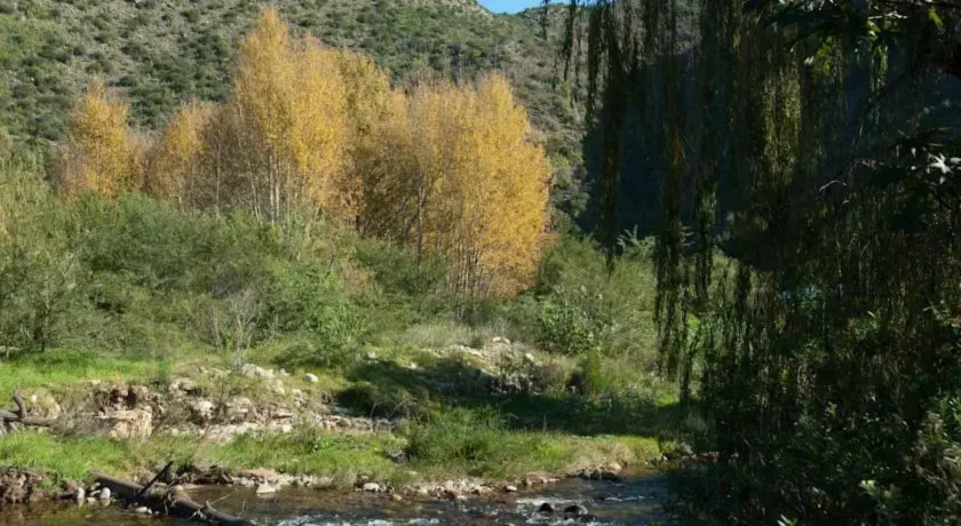 Cango Accommodation Units