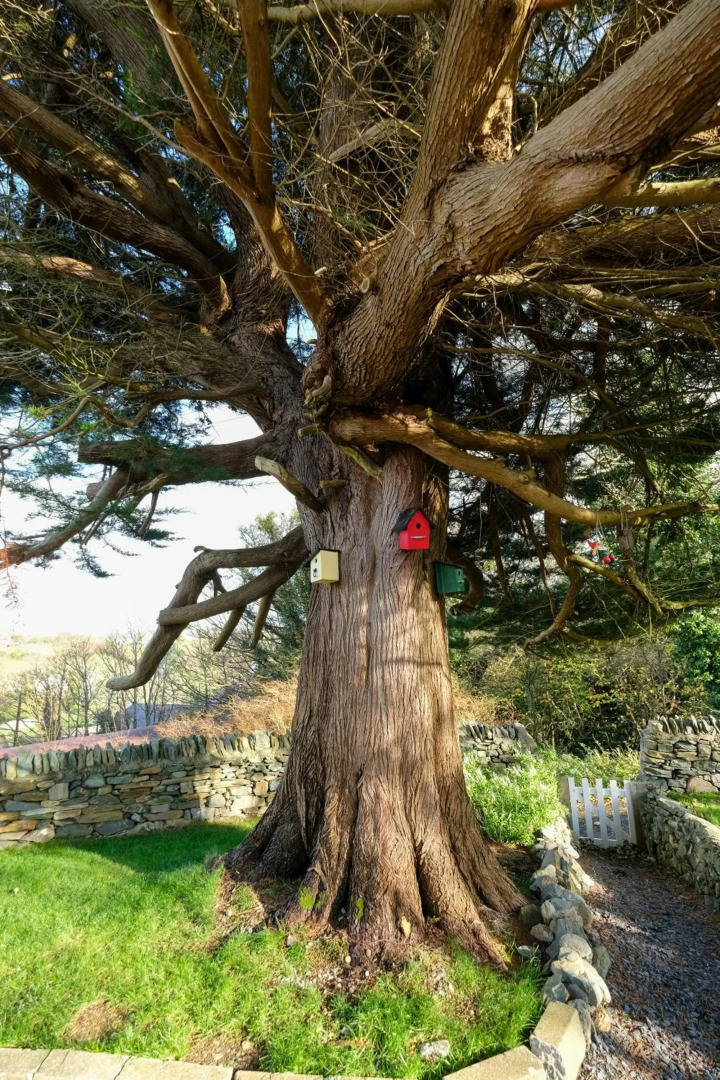 The Cottage Hillside