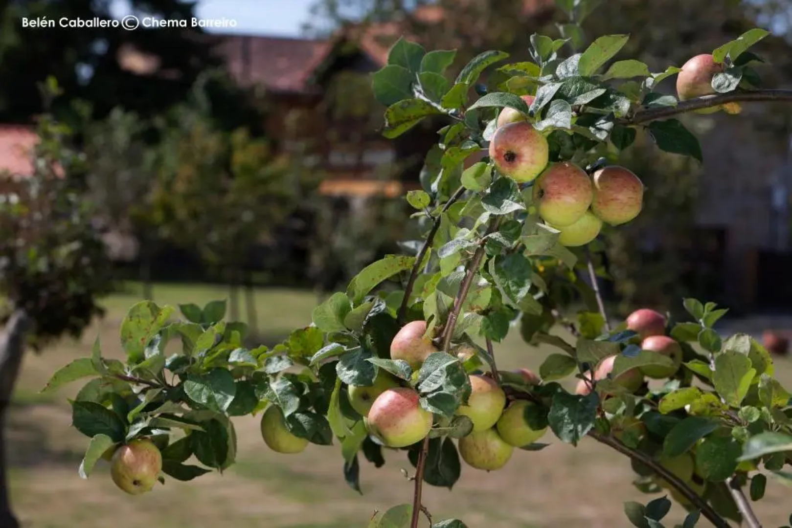 La Casona de Quintes