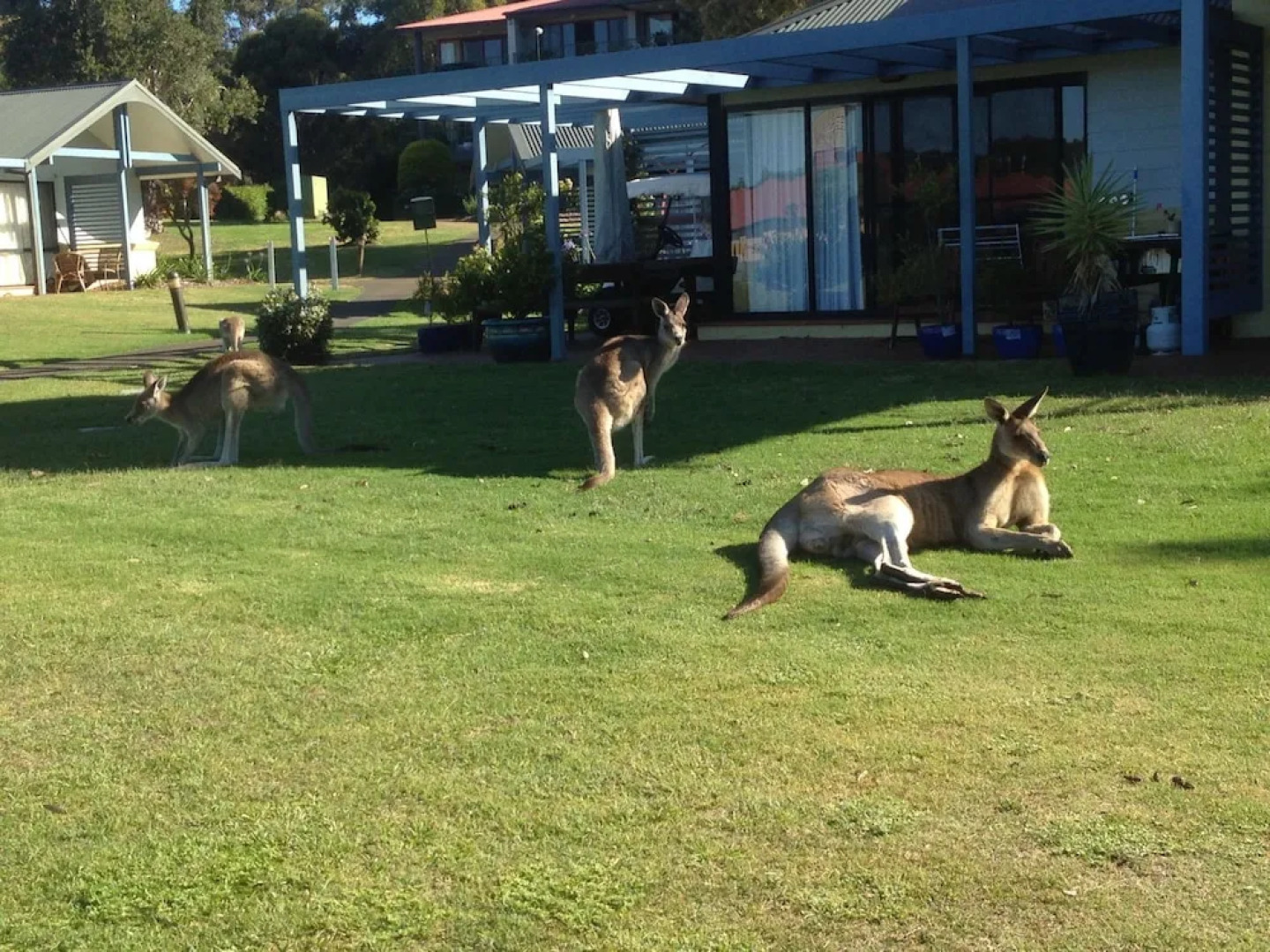 The Lotus Retreat at Horizons, Villa 136